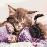 Картина за номерами "Кошеня" 40*50см, BS531170